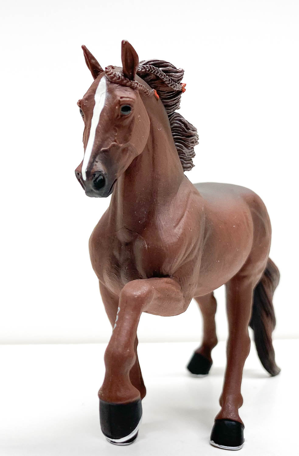 Tennessee Walking Horse, Chestnut