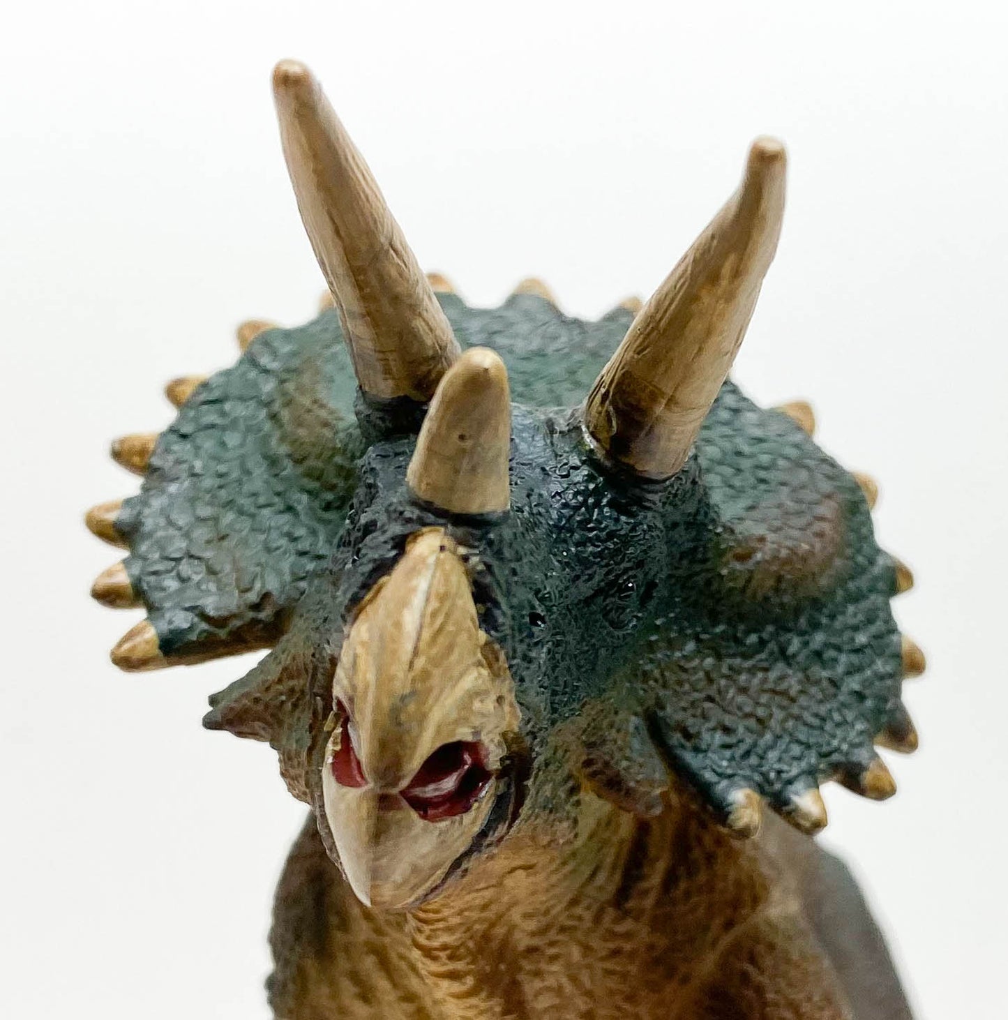 Triceratops