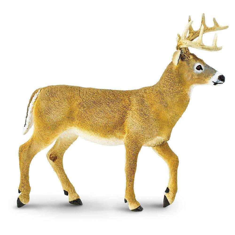 Safari Whitetail Deer Buck (Large) – Triple Mountain Model Horses