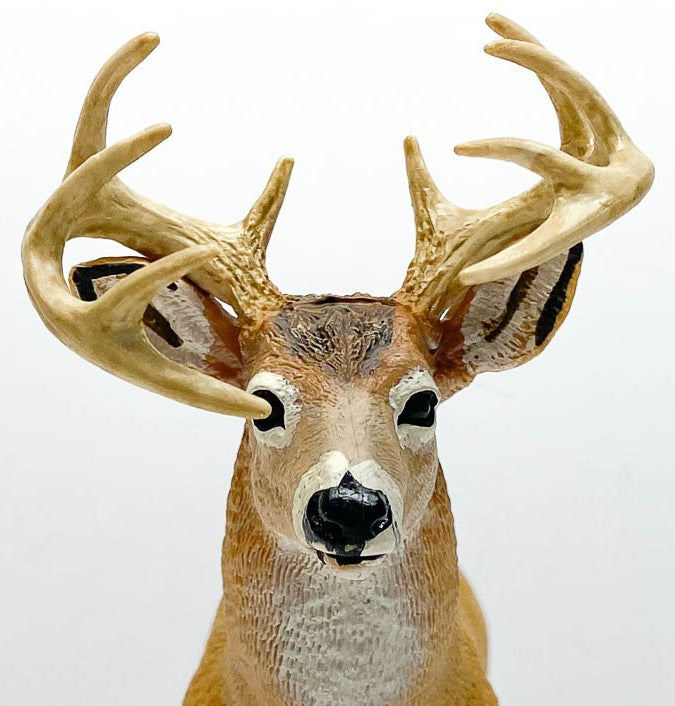 Whitetail Deer Buck (Large)