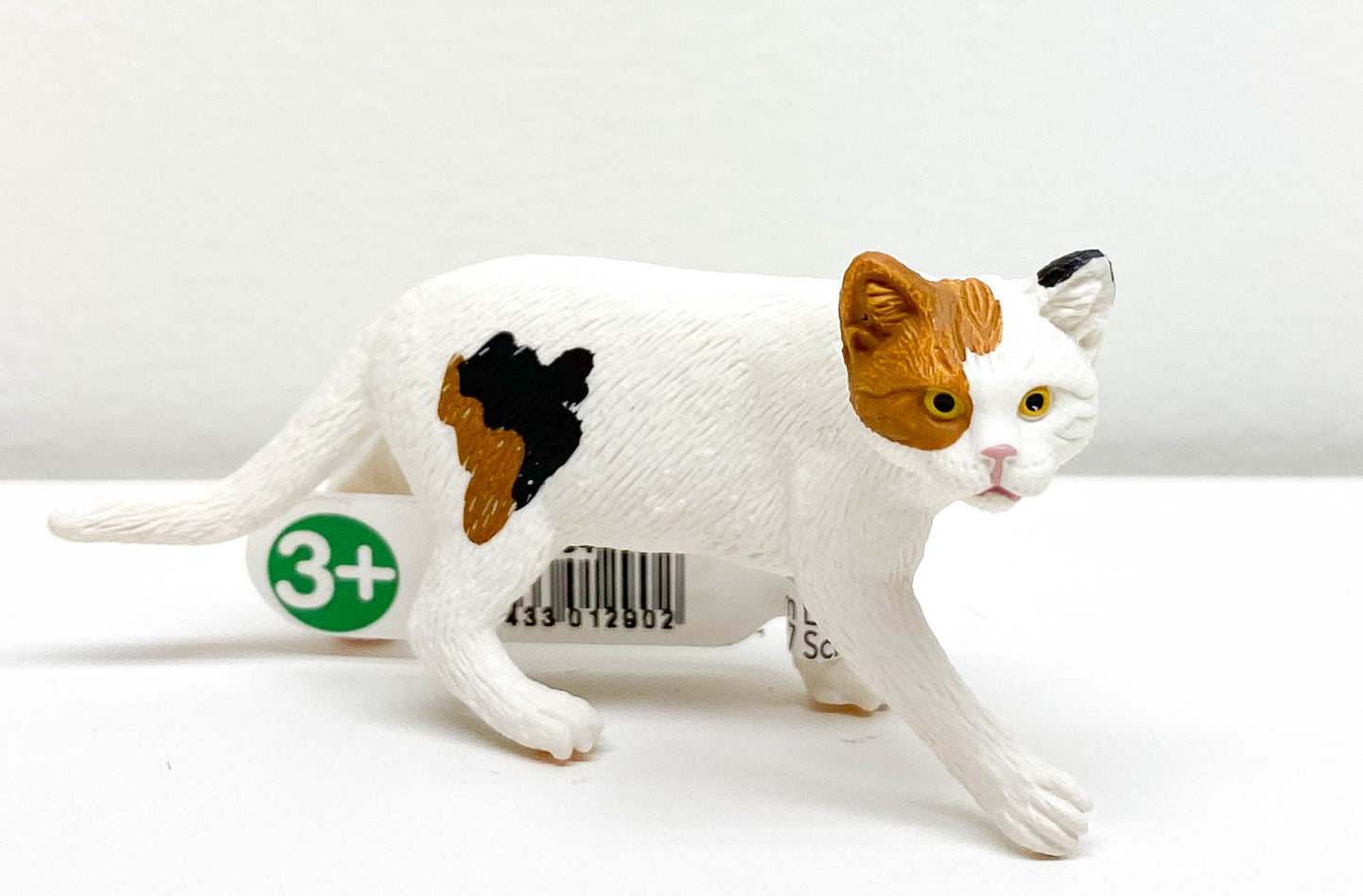 American Shorthair Cat, Calico