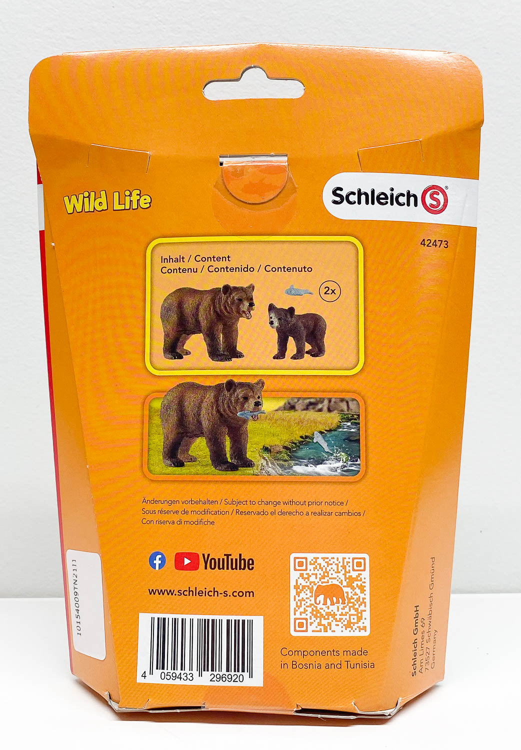 Grizzly Bear Mother with Cub