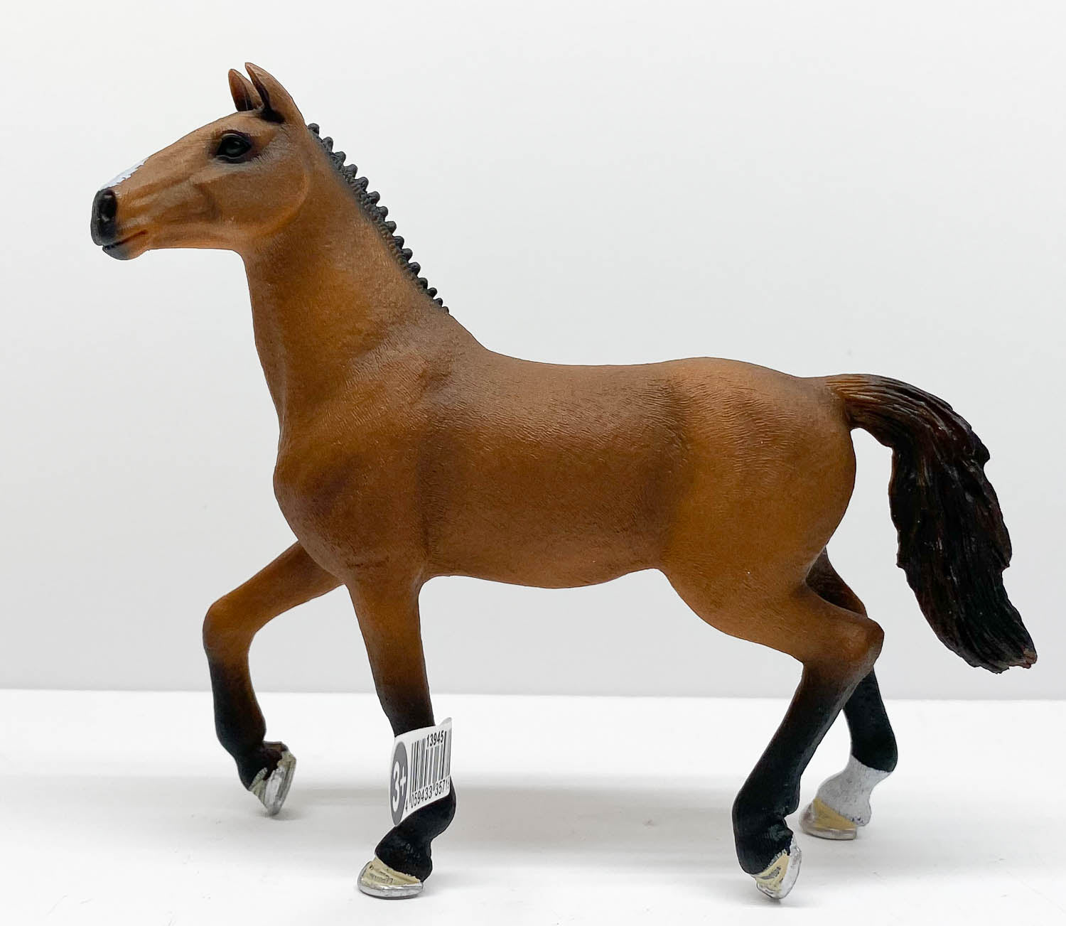 Oldenburg Mare, Bay - Main Image