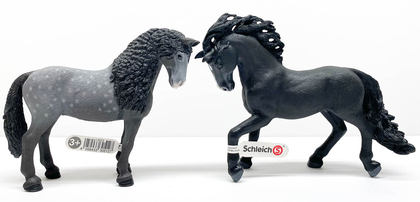 Pura Raza Espaniola Stallion, Black