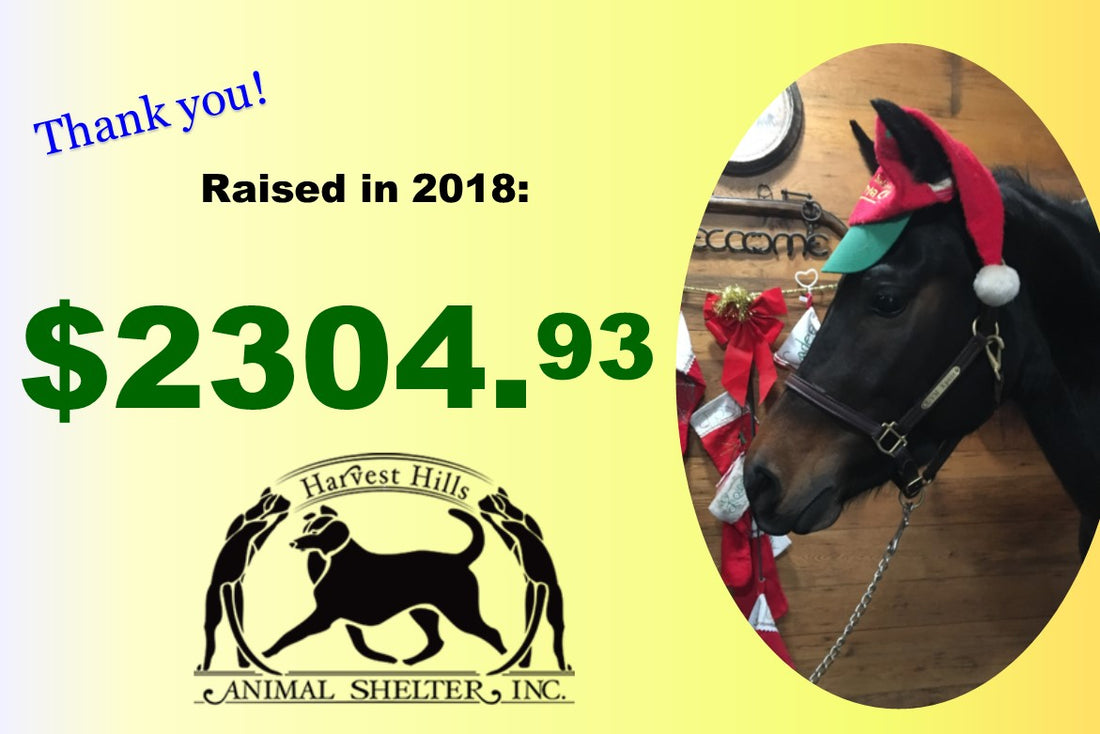 Animal Shelter Fundraising Total - WOW!