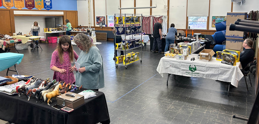 2025 Model Horse Swap Meet and Showing Clinic Recap