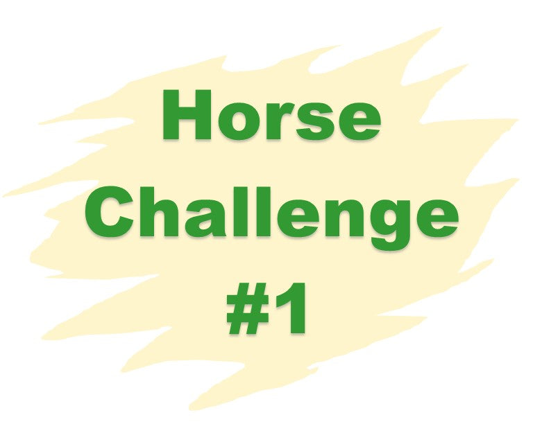 Weekly Challenge #1:  The Secret Life of Model Horses