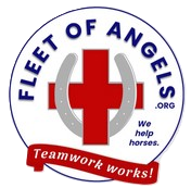 Fleet Of Angels - Saving Horses after Helene - You Can Help!