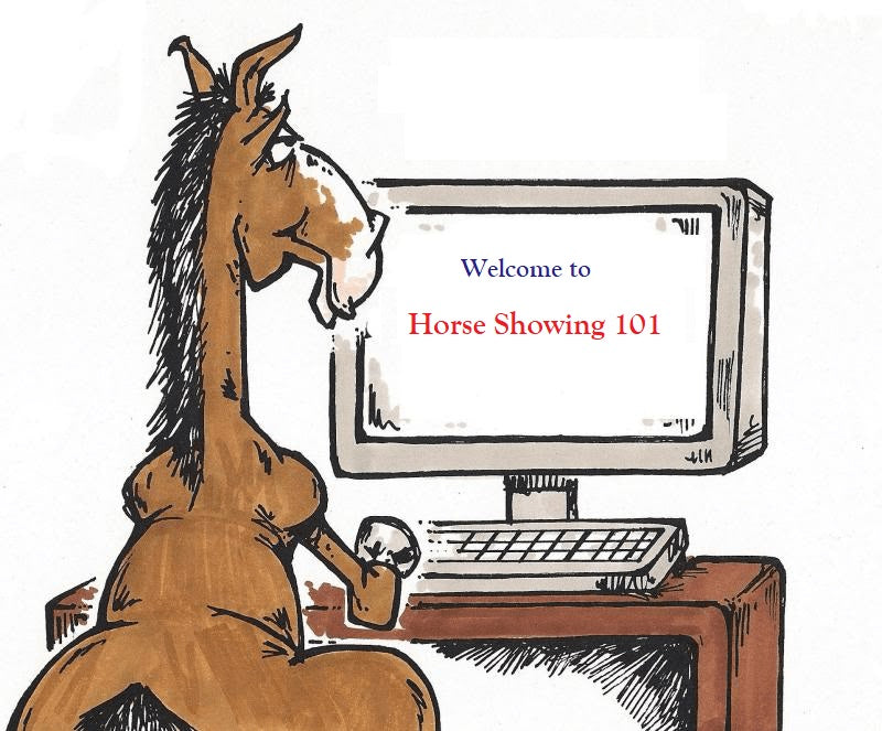 Model Horse Schooling Shows