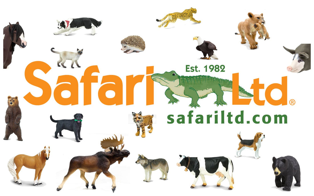 Safari Ltd – One Family Teaching the World About Nature