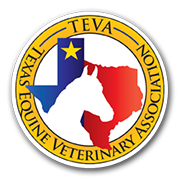 Hurricane Harvey Equine Rescues - How You Can Help
