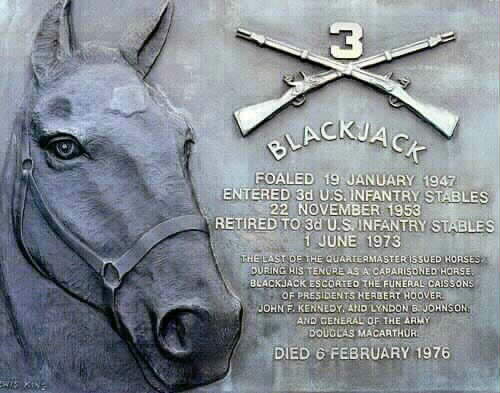 One of the Most Famous Horses You Never Knew (Black Jack)