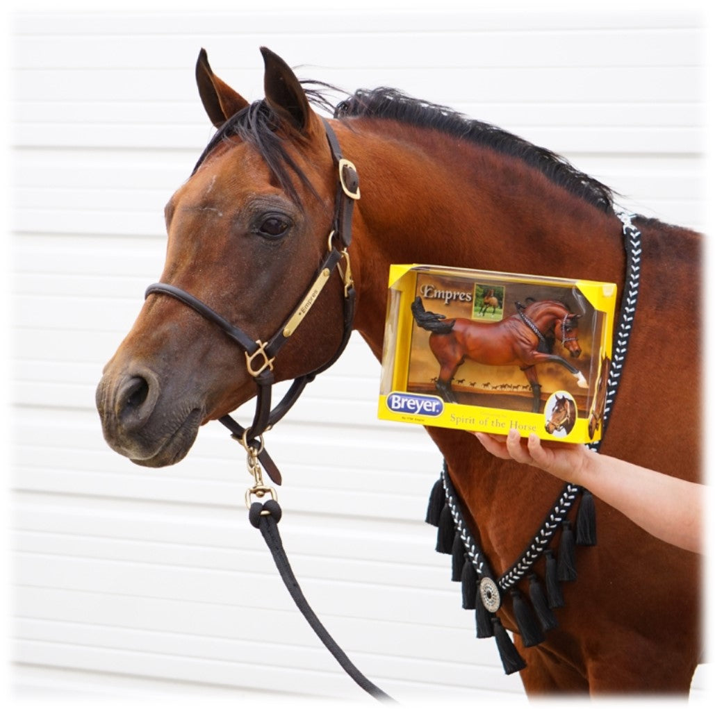 Meet Empres at Breyerfest Win a Gift Card? Triple Mountain Model Horses