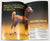Just About Horses Magazine Vol 11 No. 2,  1984 (Summer 1)