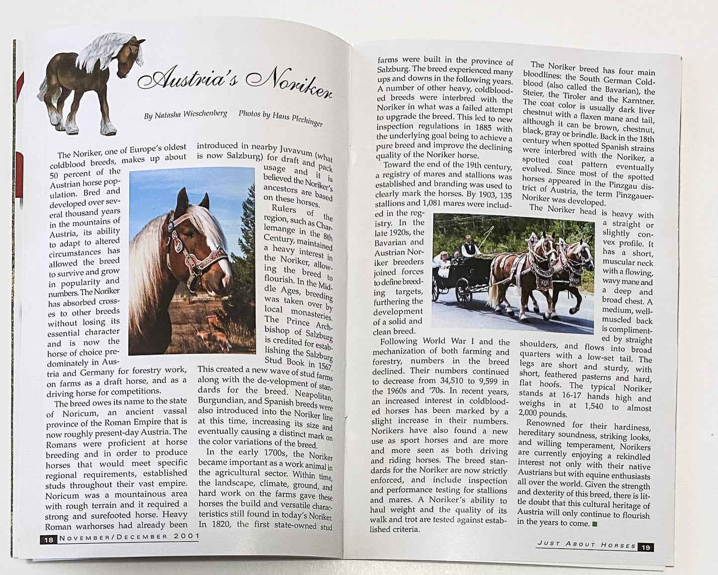 Just About Horses Magazine Vol. 28, No. 6, 2001 Nov/Dec