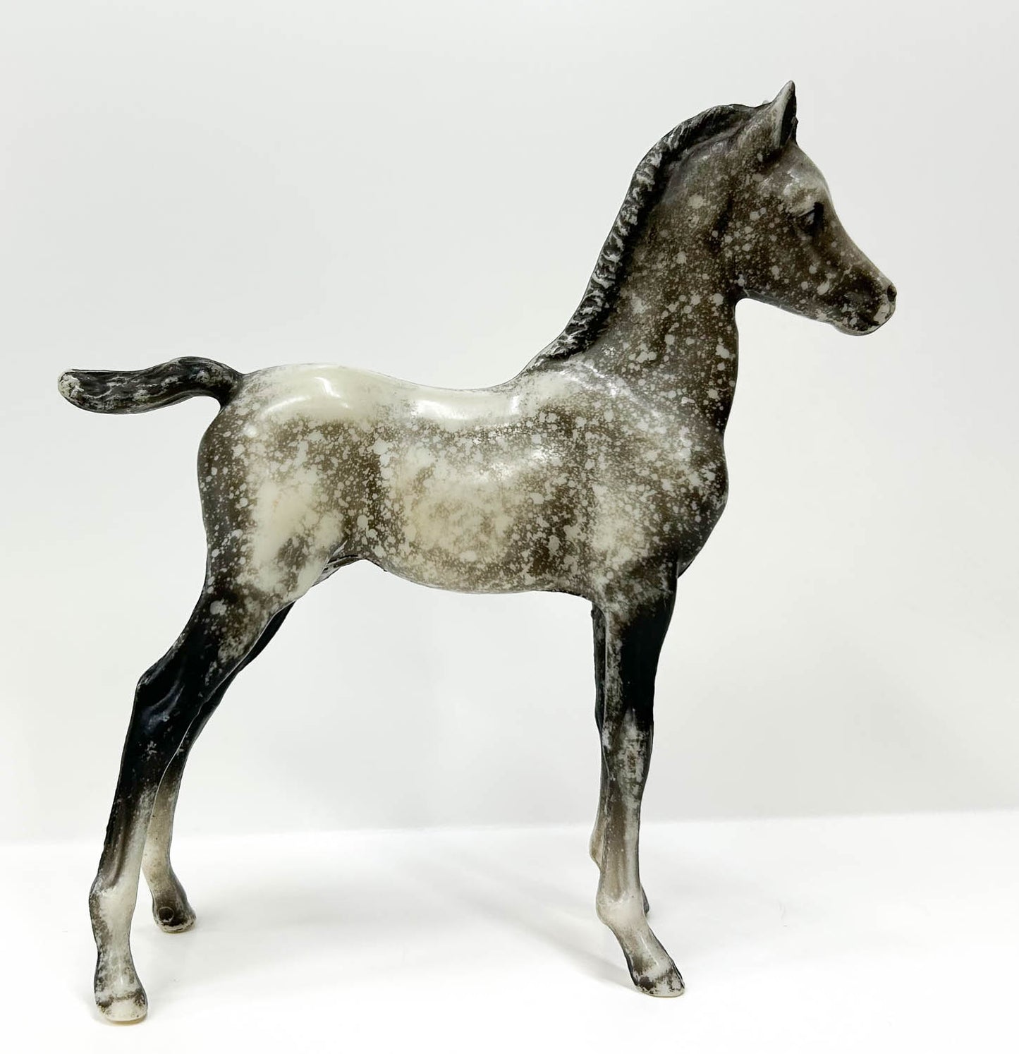 Proud Arabian Foal, Dapple Grey Semi-Gloss - (body)