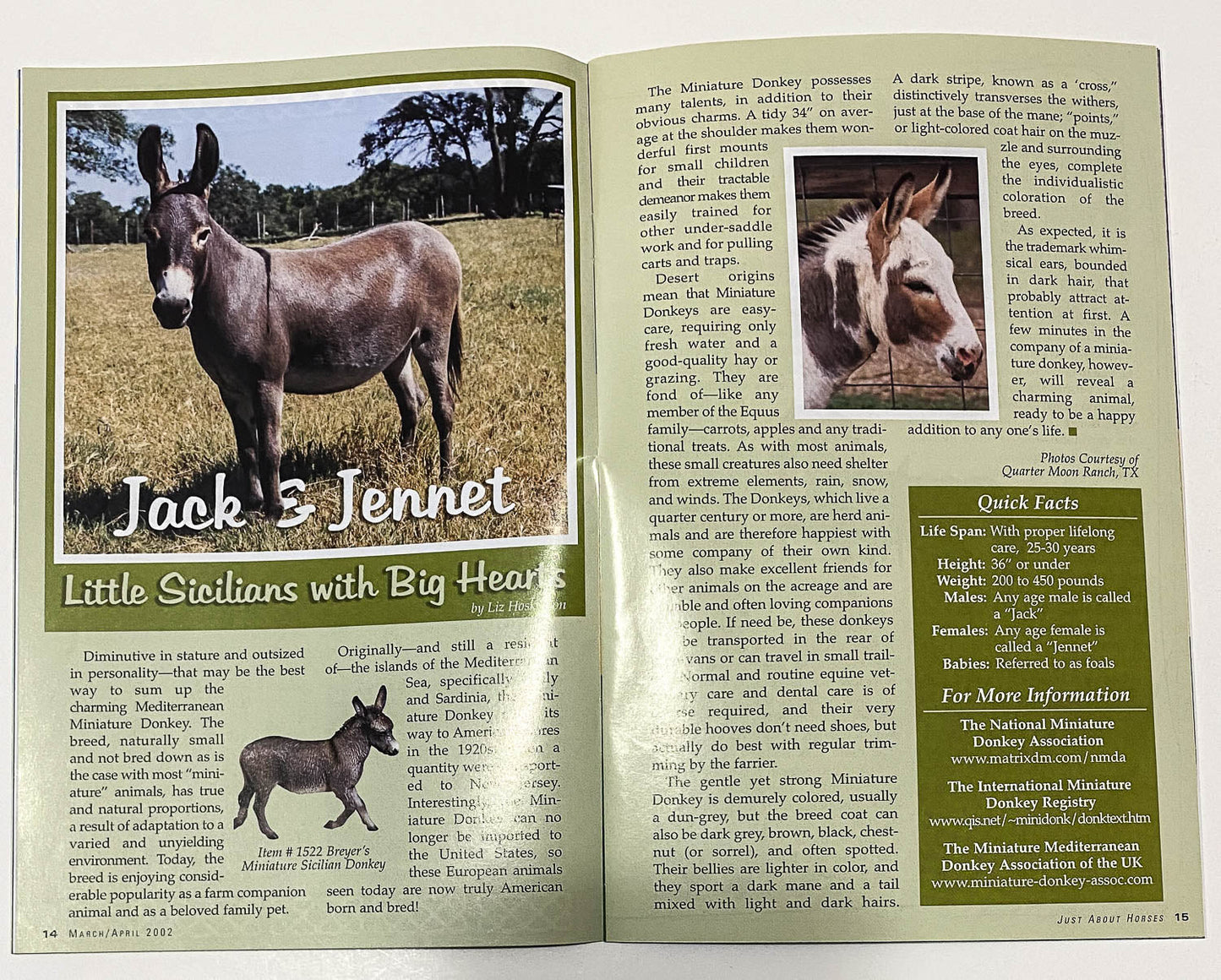 Just About Horses Magazine Vol. 29, No. 2, 2002 Mar/Apr