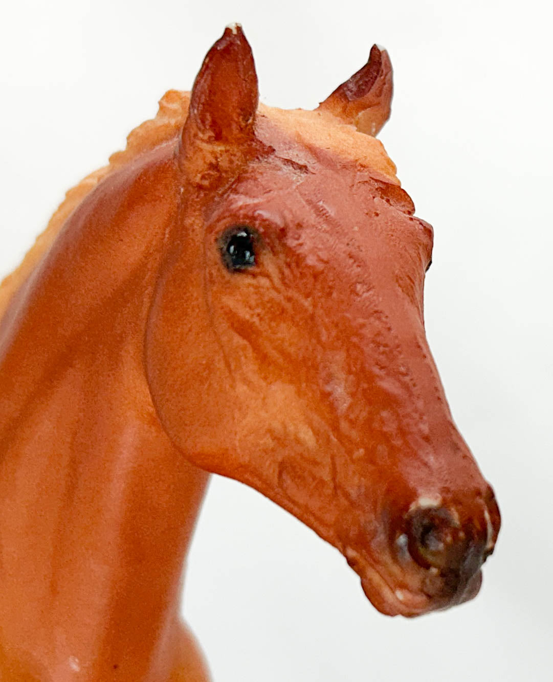 Action Stock Horse Foal, Chestnut (sale for charity)