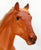 Action Stock Horse Foal, Chestnut (sale for charity)