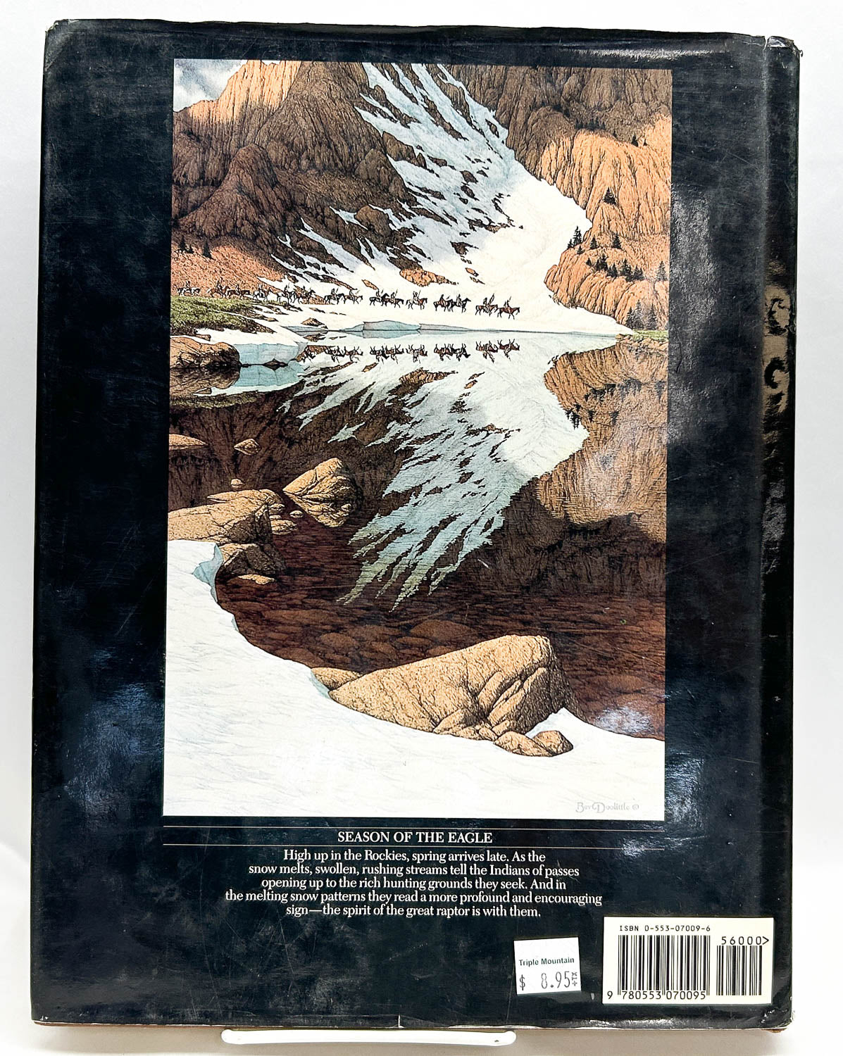 Book:  The Art of Beverly Doolittle