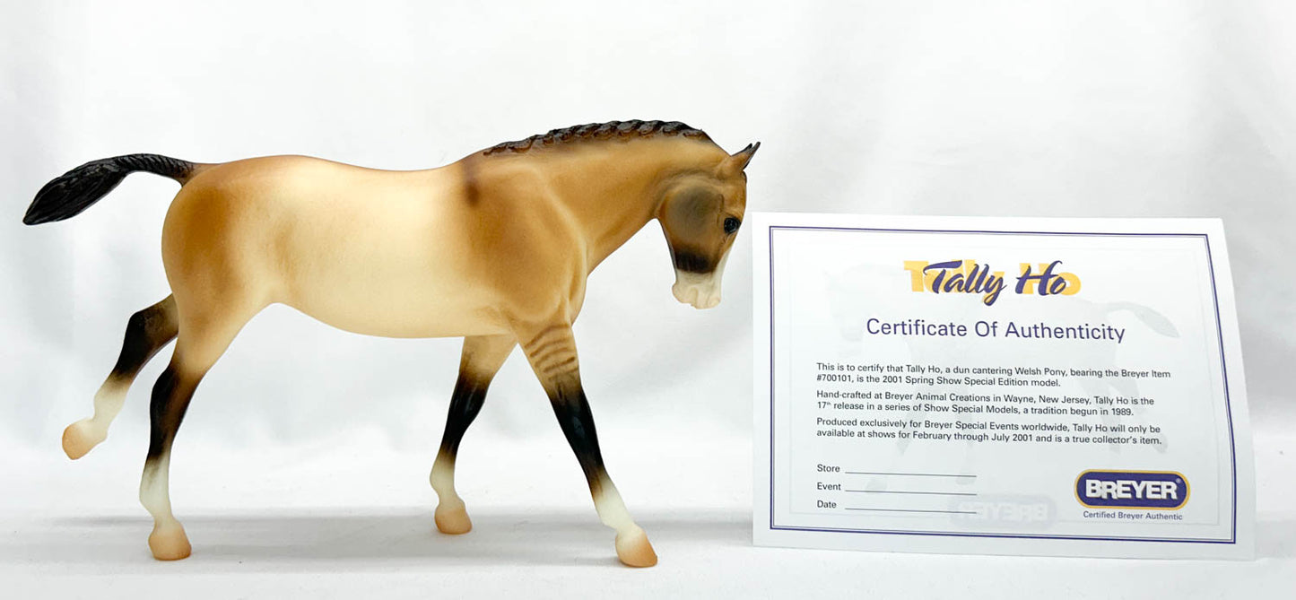 Cantering Welsh Pony ~ Tally Ho (sale for charity)