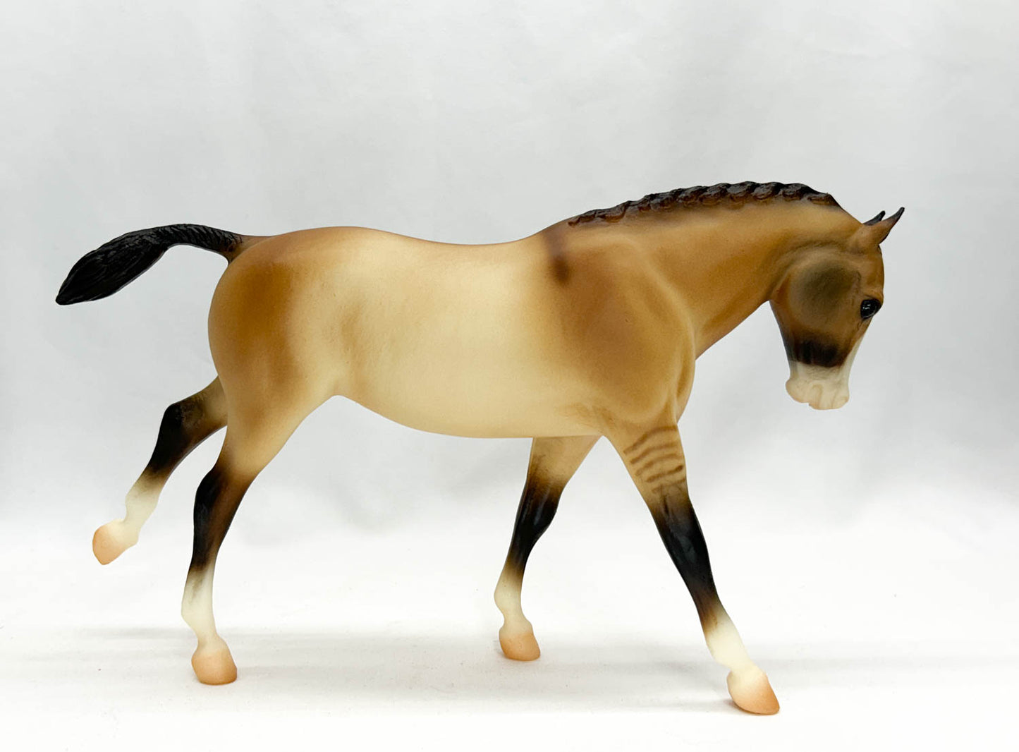 Cantering Welsh Pony ~ Tally Ho (sale for charity)