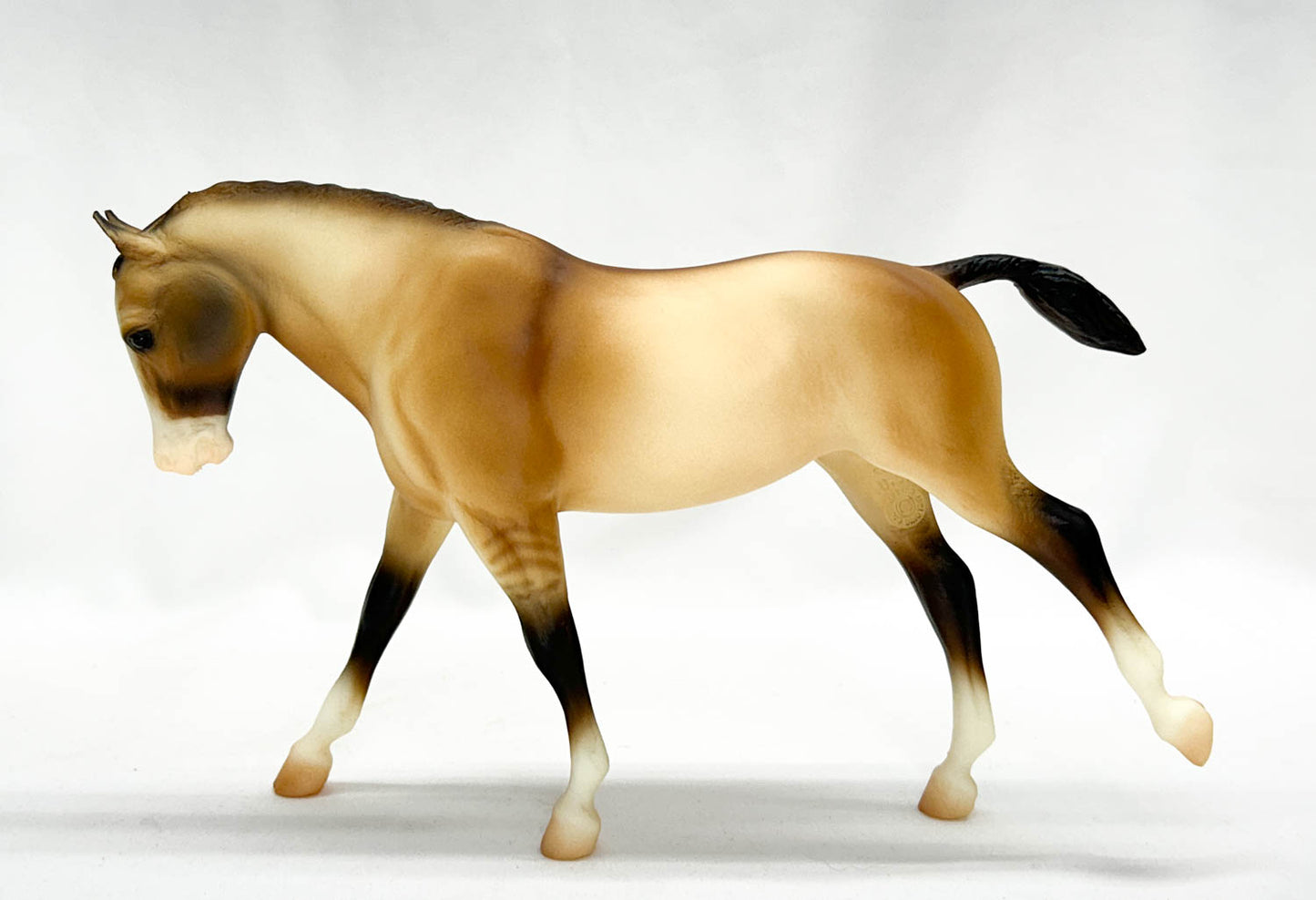 Cantering Welsh Pony ~ Tally Ho (sale for charity)