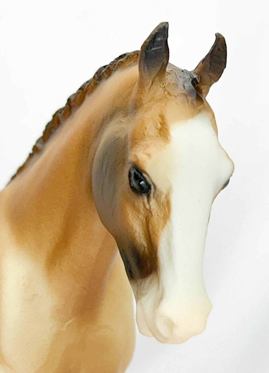 Cantering Welsh Pony ~ Tally Ho (sale for charity)