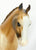 Cantering Welsh Pony ~ Tally Ho (sale for charity)