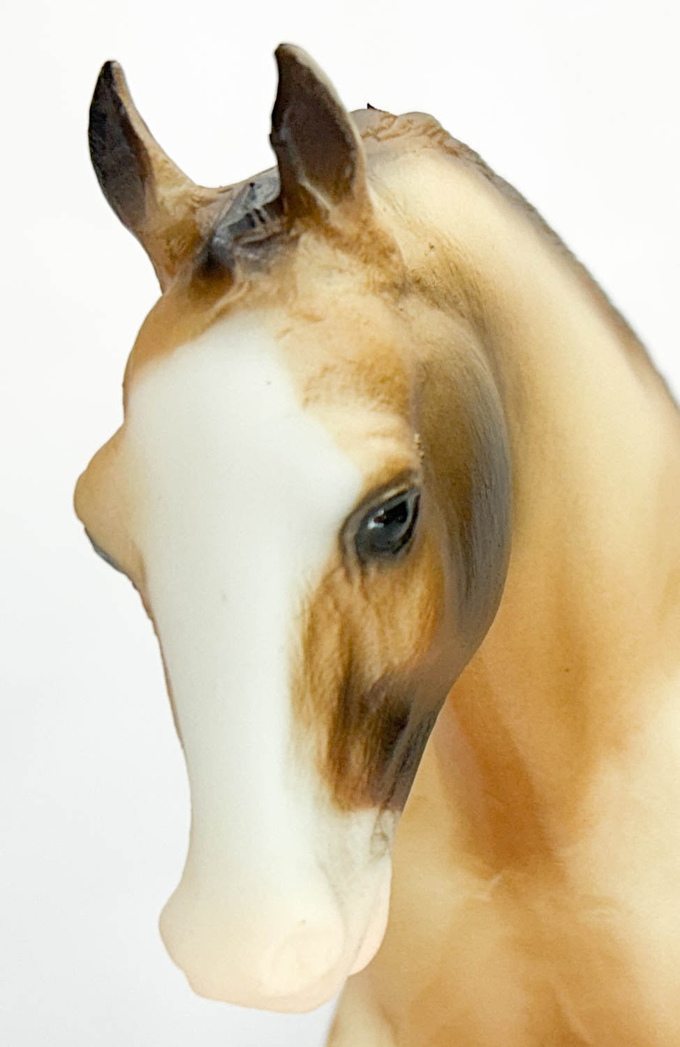 Cantering Welsh Pony ~ Tally Ho (sale for charity)