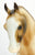 Cantering Welsh Pony ~ Tally Ho (sale for charity)