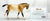 Cantering Welsh Pony ~ Tally Ho - VARIATION (sale for charity)