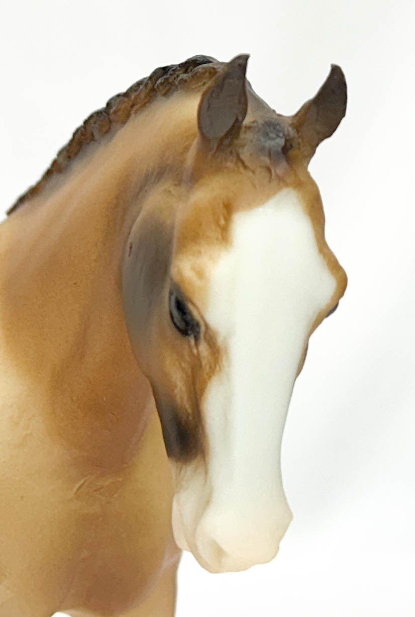 Cantering Welsh Pony ~ Tally Ho - VARIATION (sale for charity)