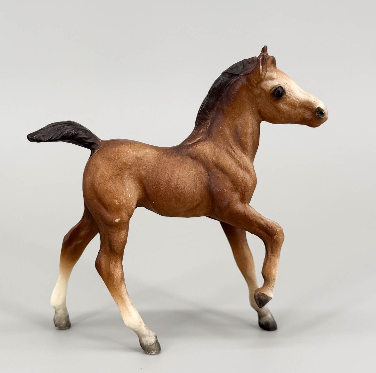 Andalusian Foal, Chestnut (sale for charity)