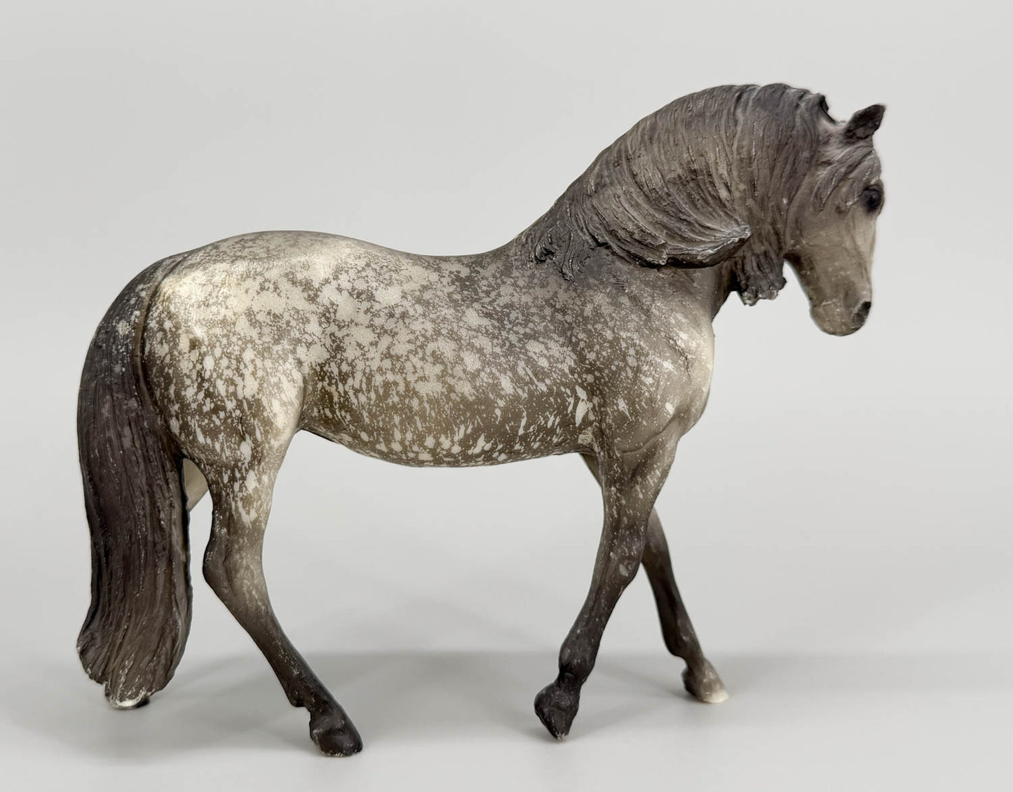Andalusian Mare, Dapple Grey (sale for charity)