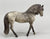 Andalusian Mare, Dapple Grey (sale for charity)