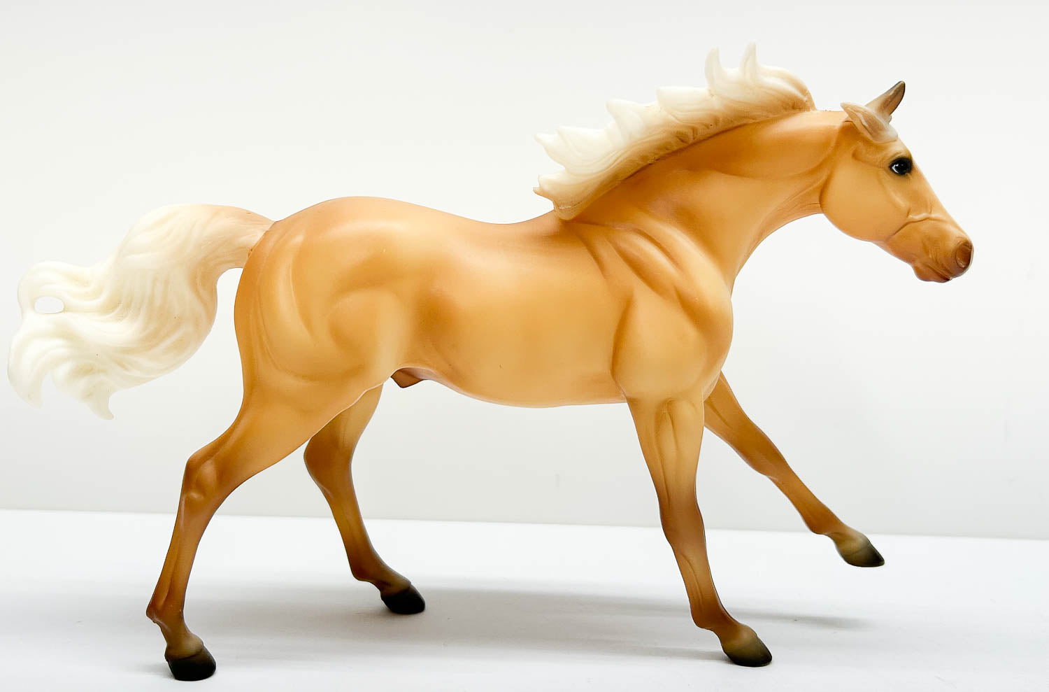American Quarter Horse Stallion ~ Hollywood Gold - Walmart SR (sale for charity)