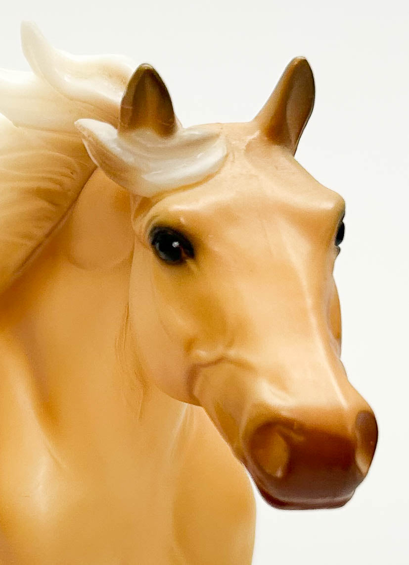 American Quarter Horse Stallion ~ Hollywood Gold - Walmart SR (sale for charity)