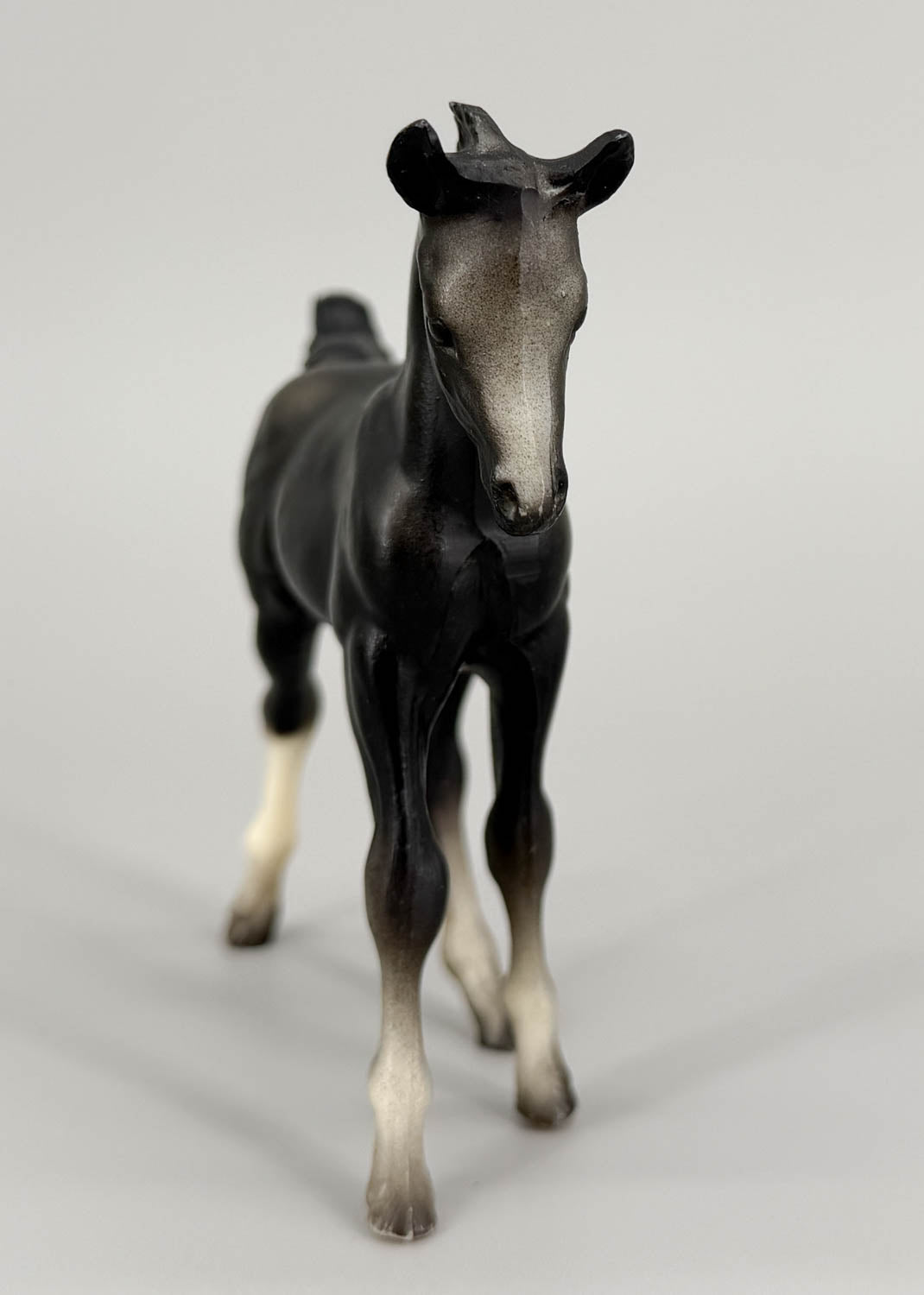 Arabian Foal, Black (sale for charity)