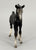 Arabian Foal, Black (sale for charity)