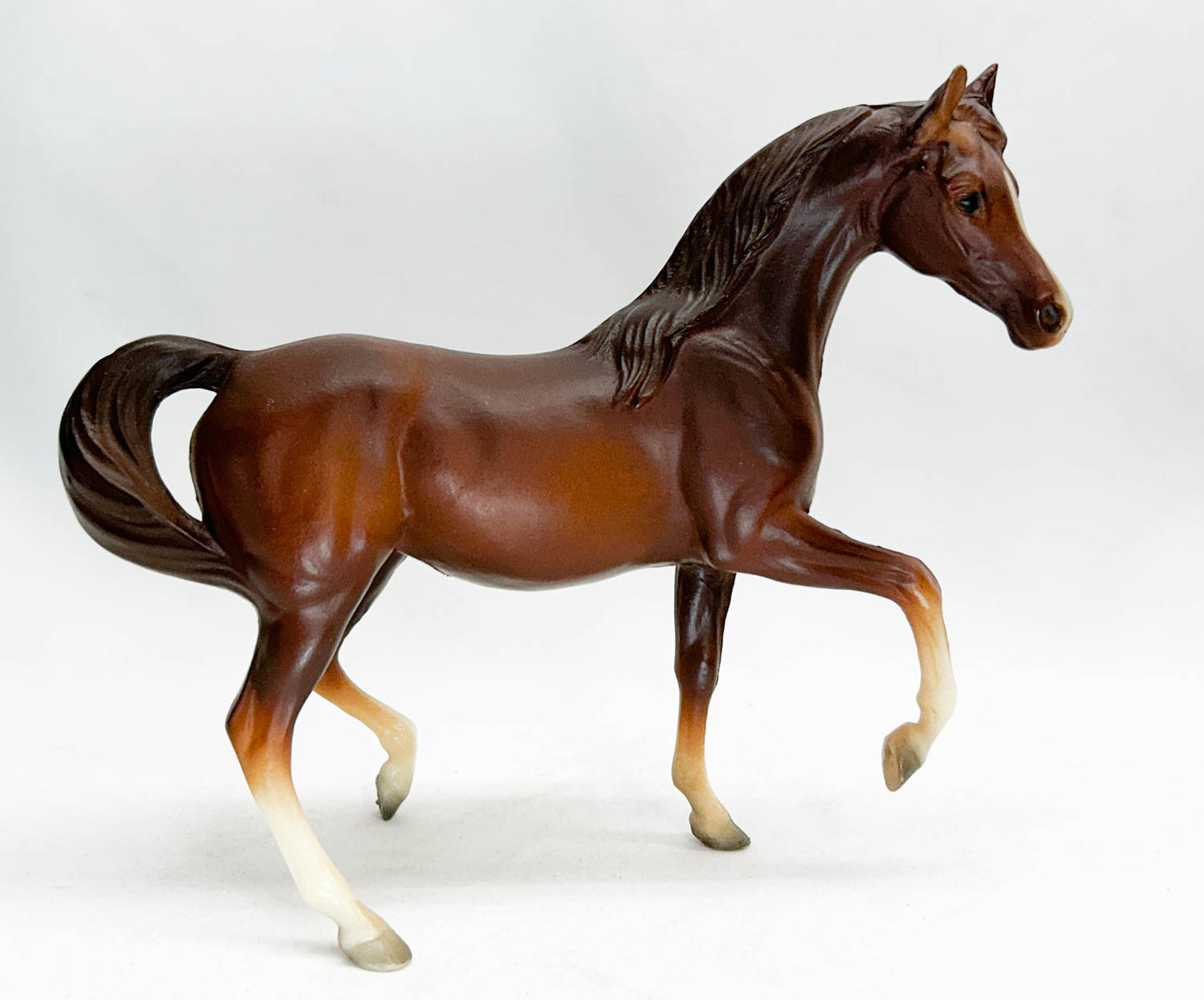 Arabian Mare, Chestnut (sale for charity)