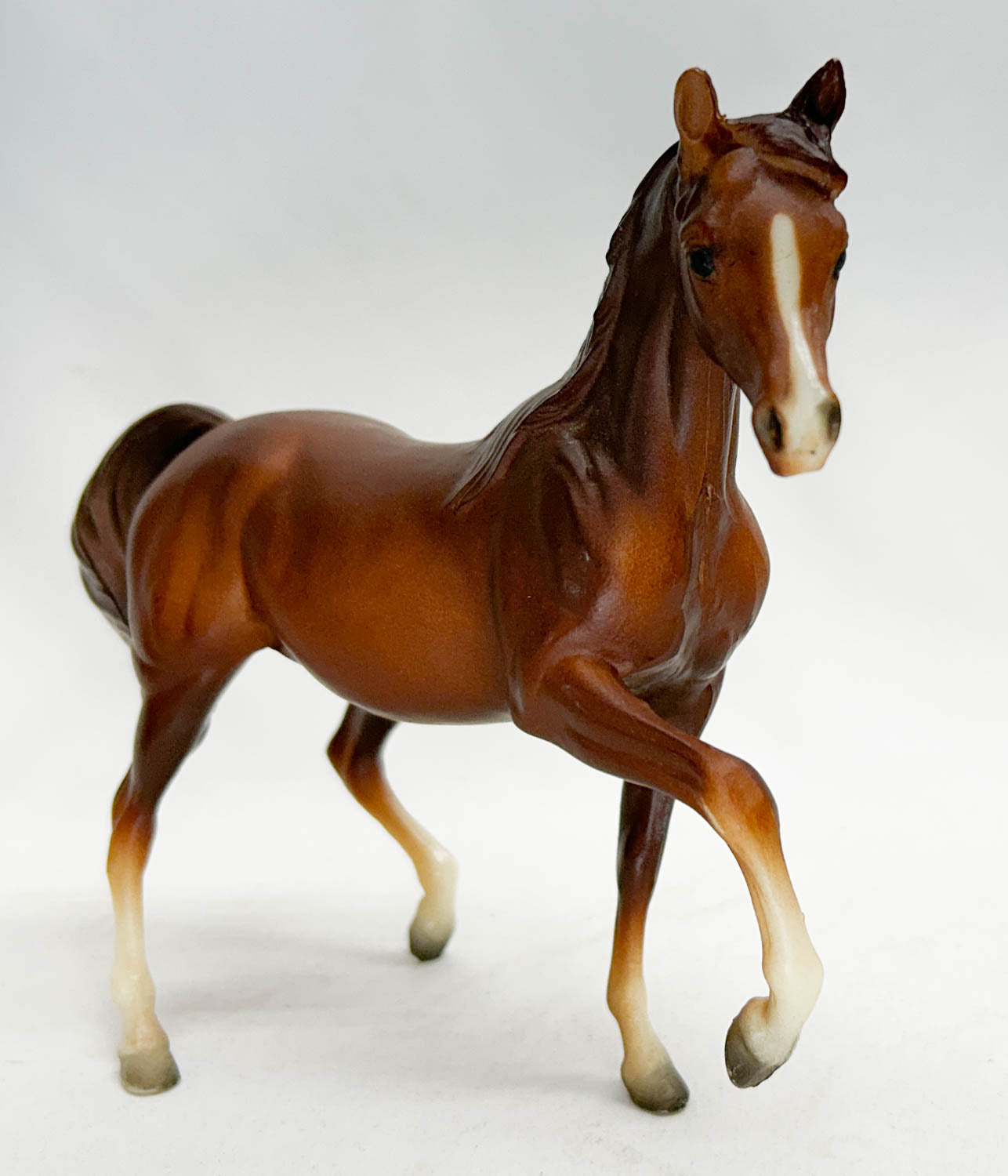 Arabian Mare, Chestnut (sale for charity)