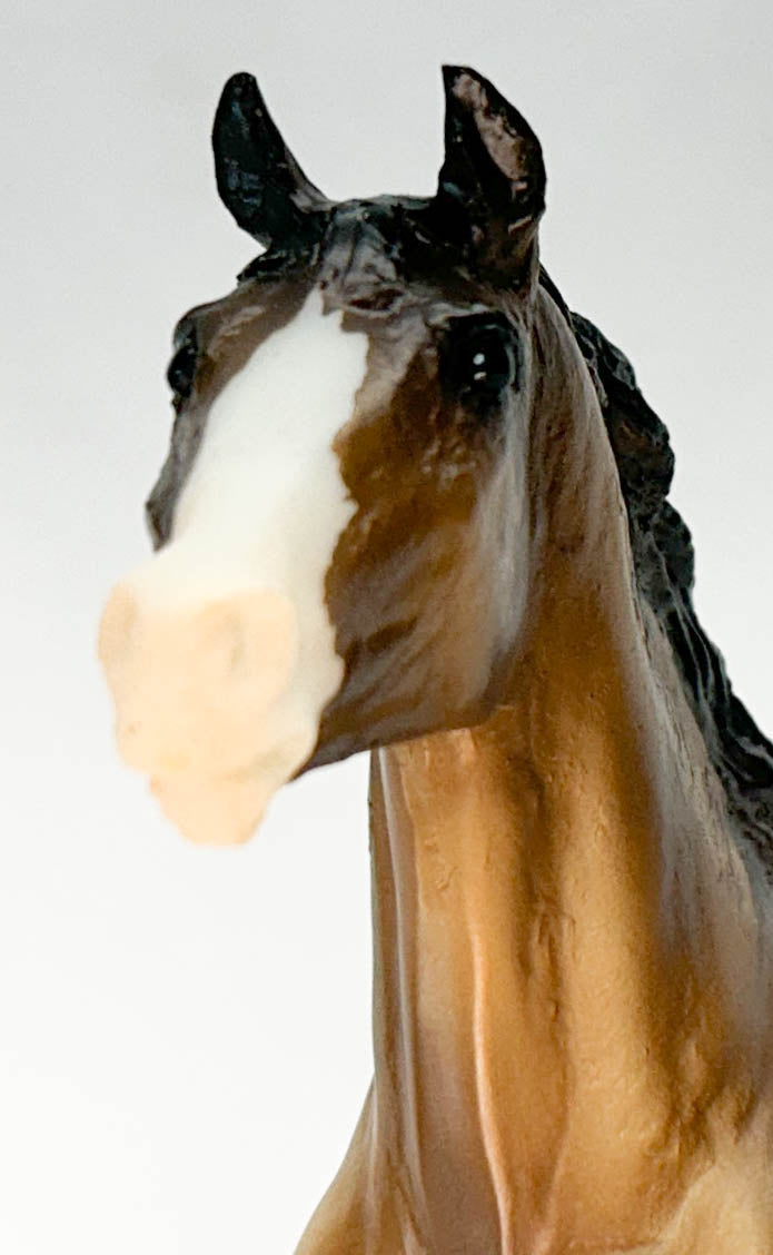 Black Beauty, Bay (sale for charity)