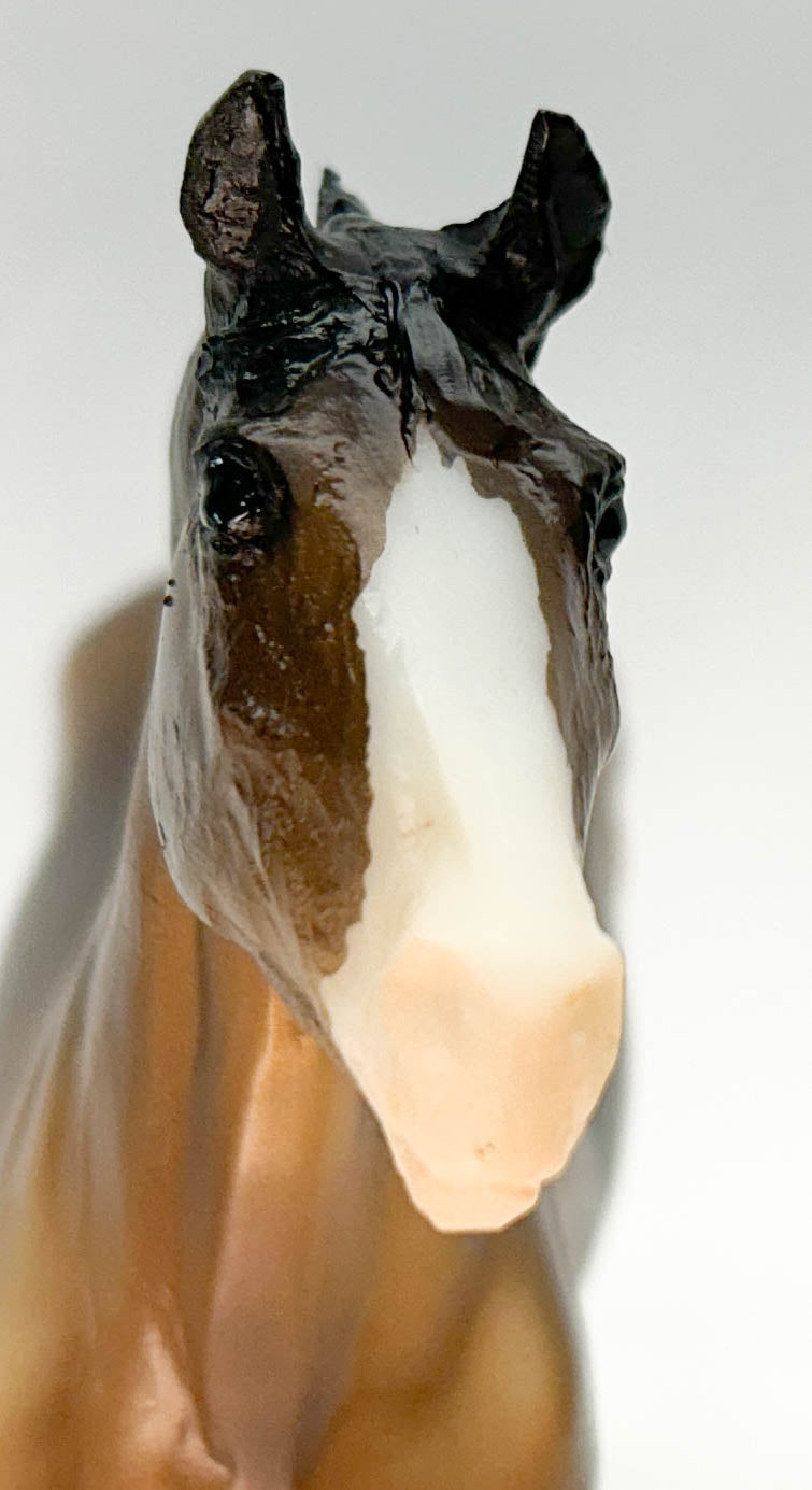 Black Beauty, Bay (sale for charity)