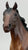 Duchess - Original Release - B-Stamp (sale for charity)