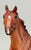 Duchess ~ Prancer - Saddle Club Series (sale for charity)