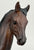 Kelso, Famous Racehorse - Original Release (sale for charity)
