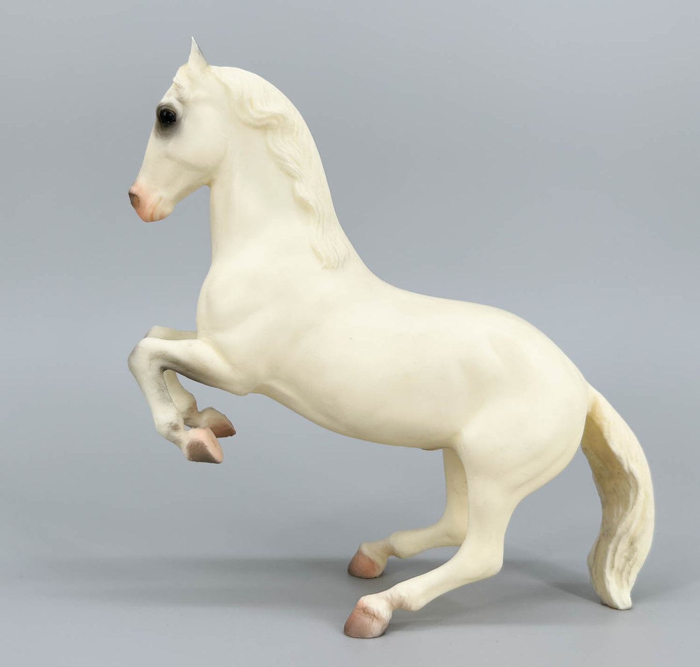 Lipizzan Stallion ~ Royal Lipizzaner (Original Release) - Variation (sale for charity)