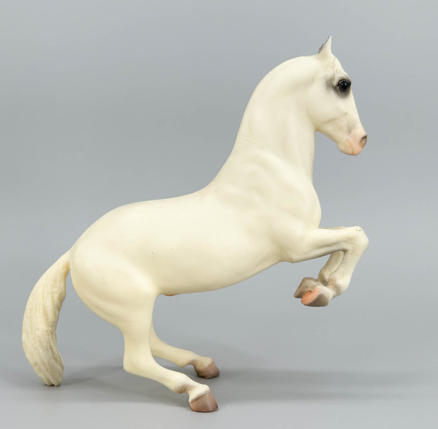 Lipizzan Stallion ~ Royal Lipizzaner (Original Release) - Variation (sale for charity)