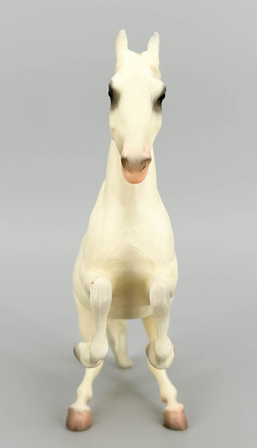 Lipizzan Stallion ~ Royal Lipizzaner (Original Release) - Variation (sale for charity)